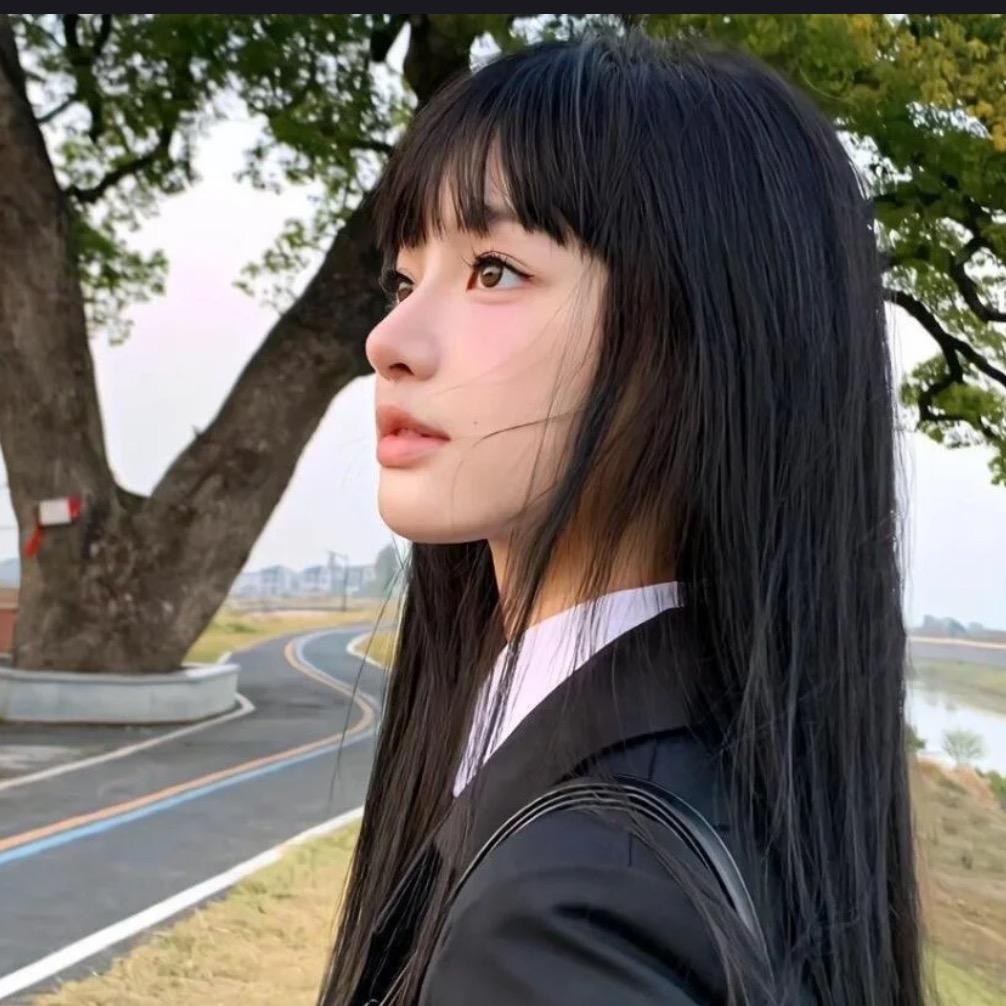 两只绵羊