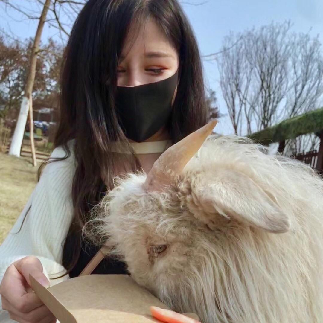 丫头儿只费