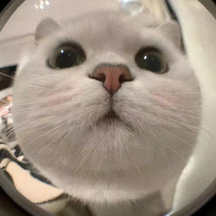 单色调
