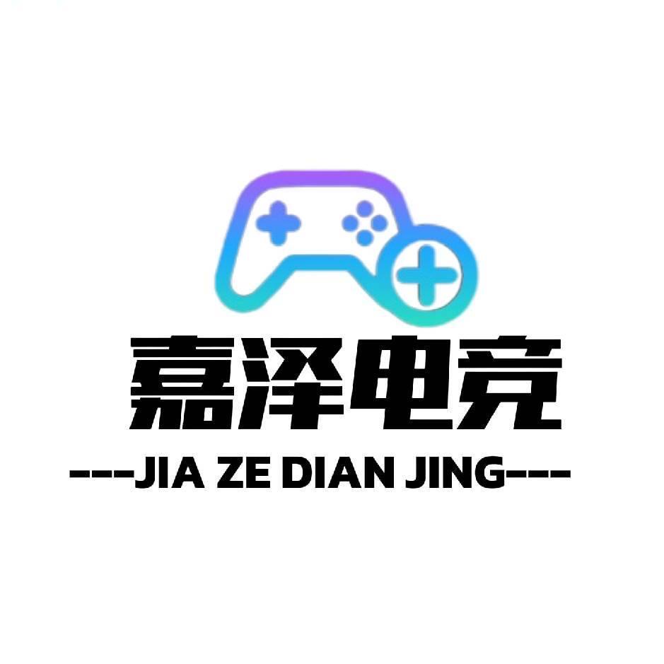 嘉泽电竞网络工作室
