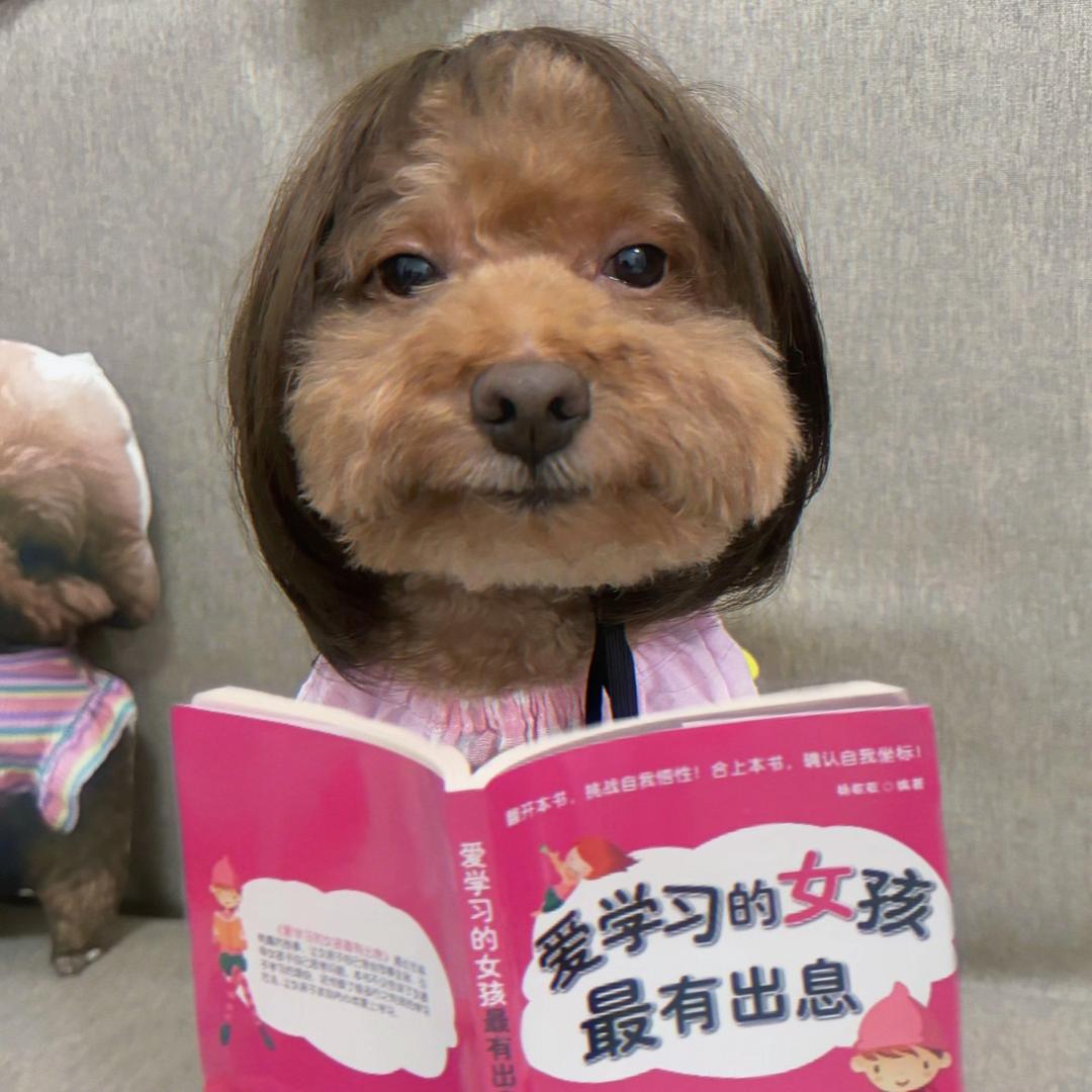 螺蛳粉公主