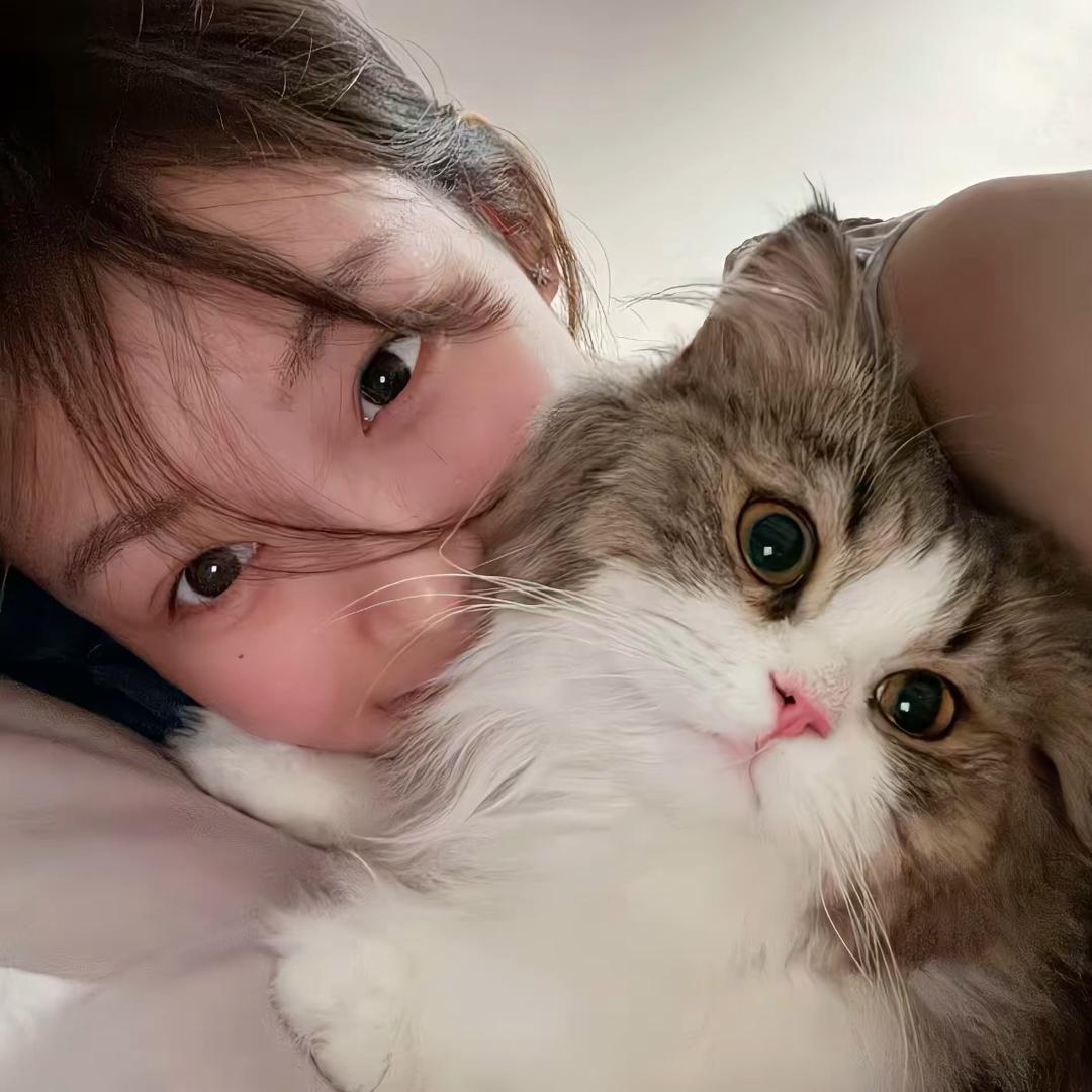 灵二_