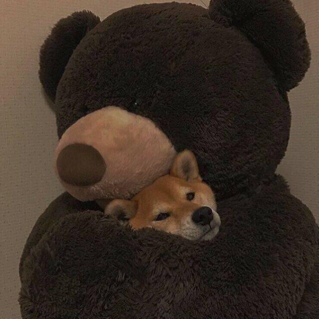 puppyyy_