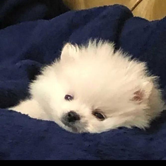 海角对面是天边