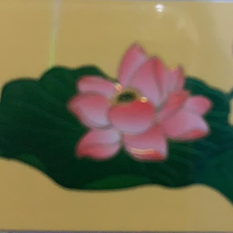 年过四十不青春