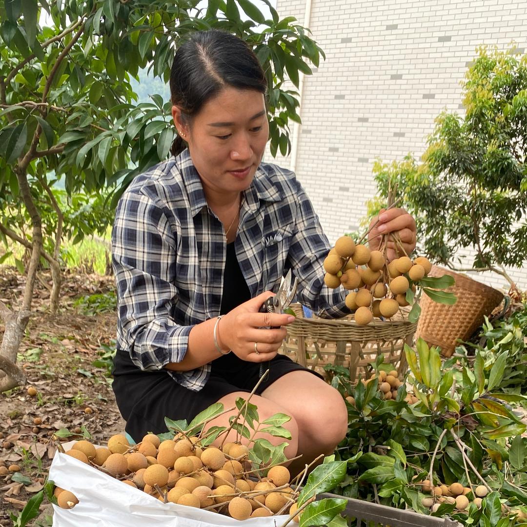 川湘妹子