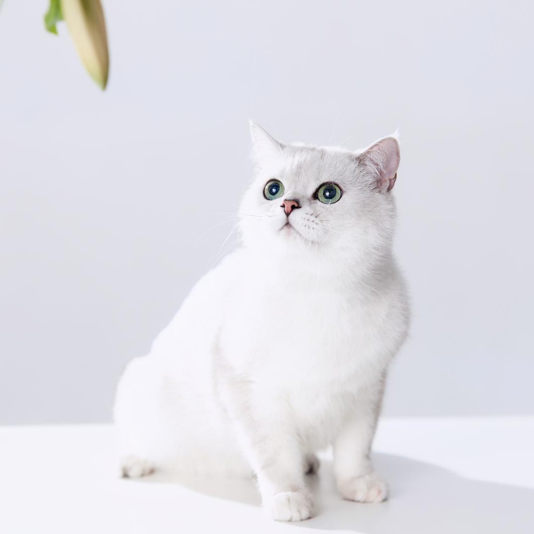 怡怡.