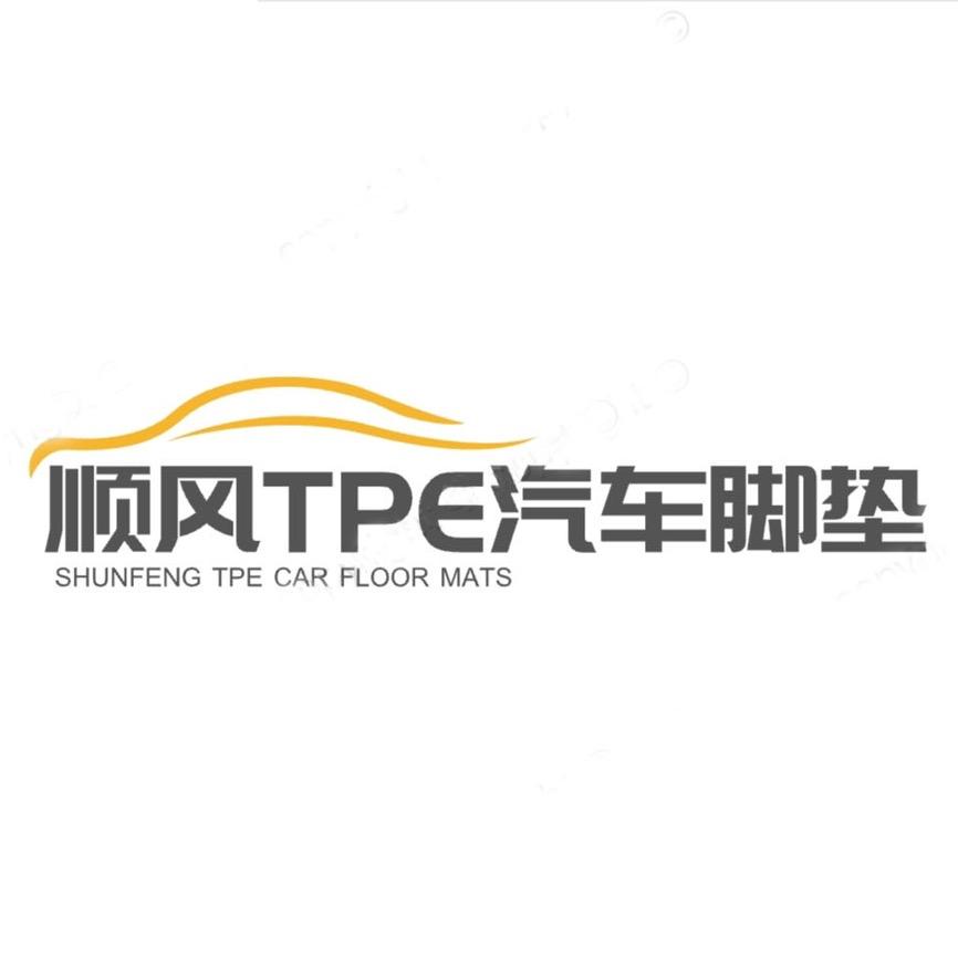 顺风TPE汽车脚垫