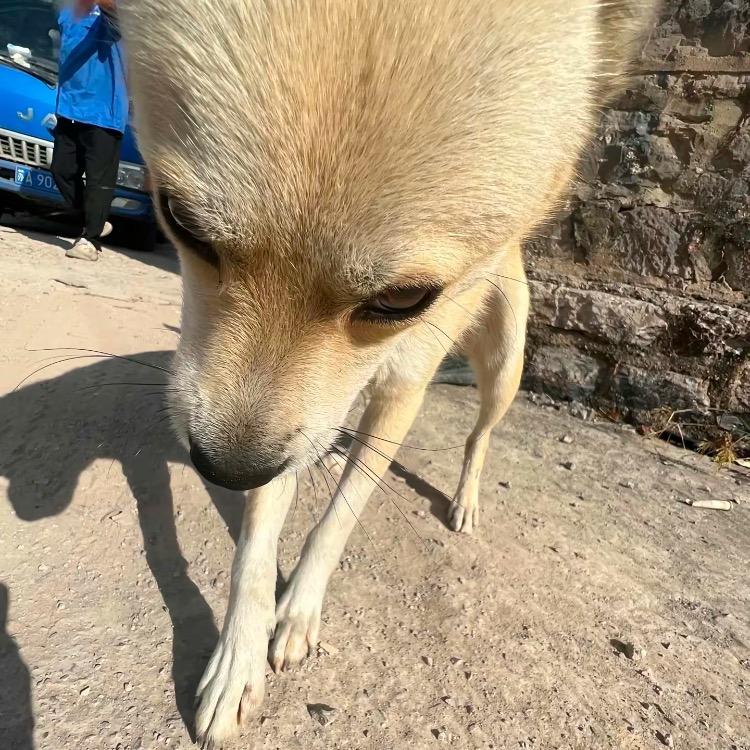 粉末注射压制厂家