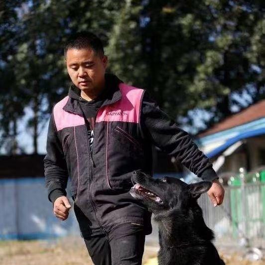 济南汪汪队训犬教育