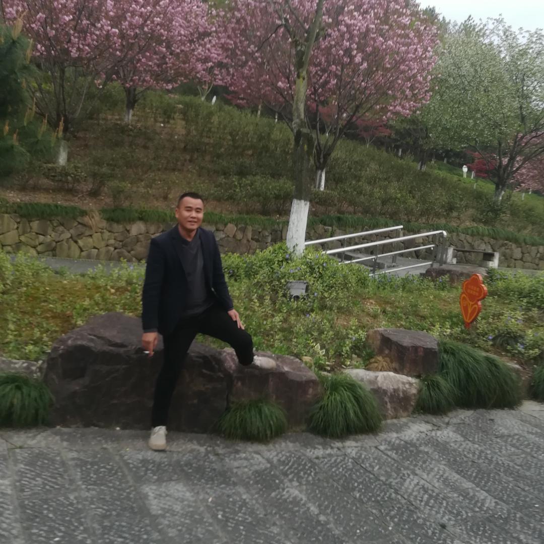 松针腐植营养土（昊哥）