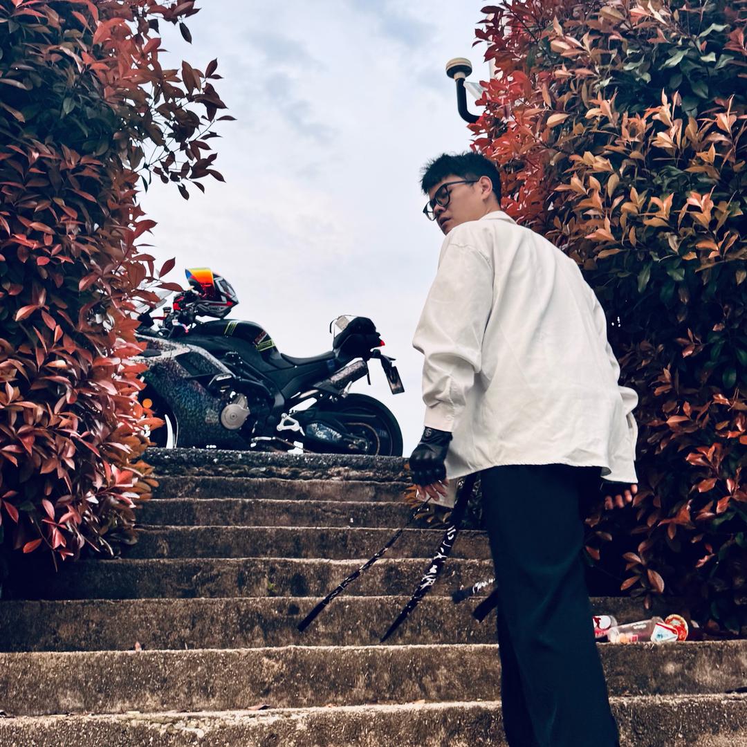 小八贼6