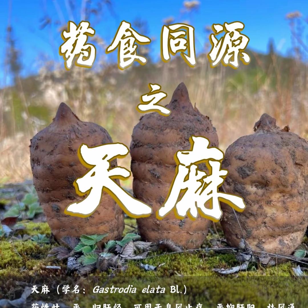 云南李雨小草坝天麻铺