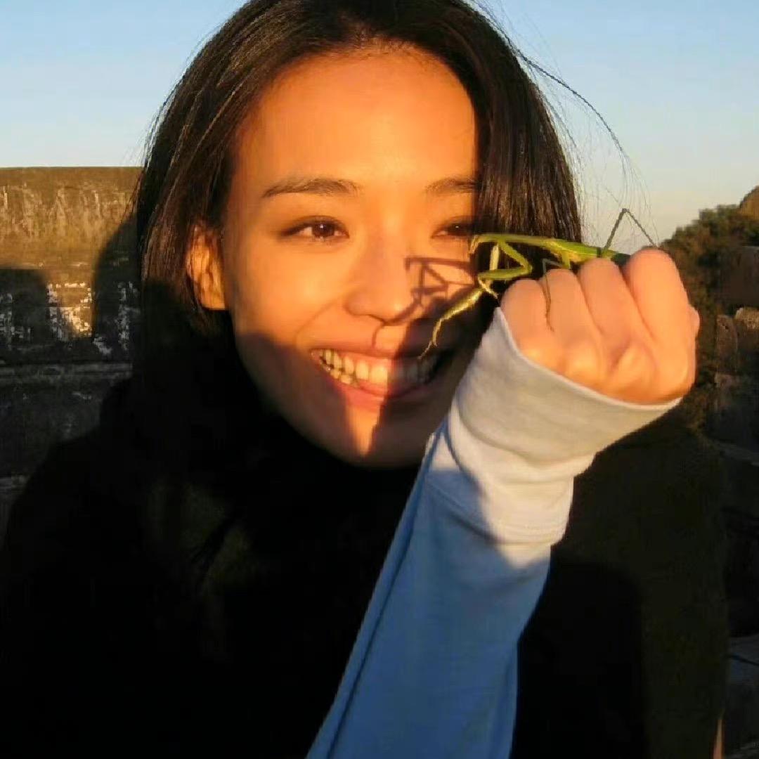 波妞与哈尔