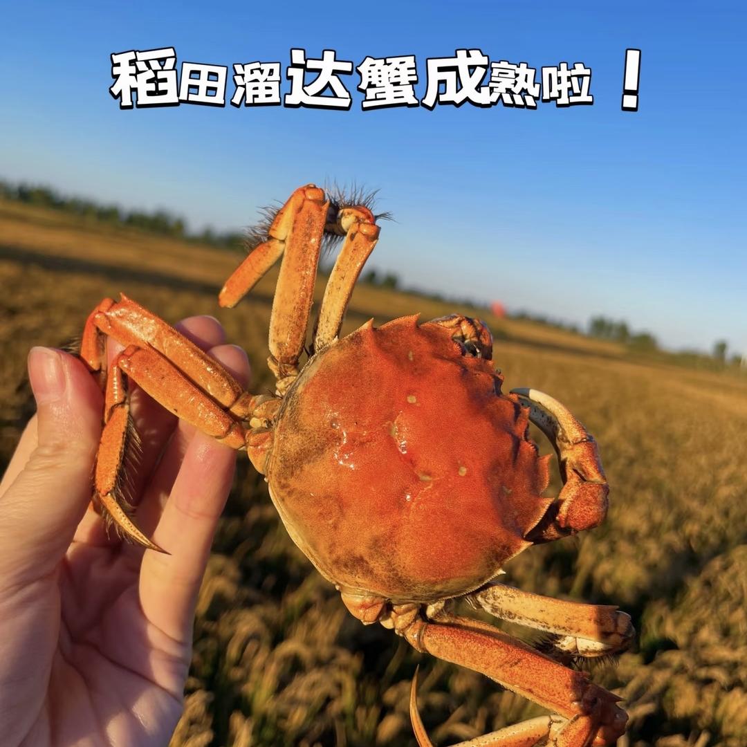 鲜予专营店陆陆鲜果