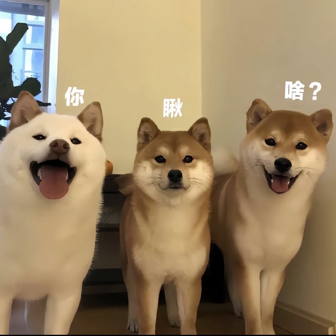 营贵电商