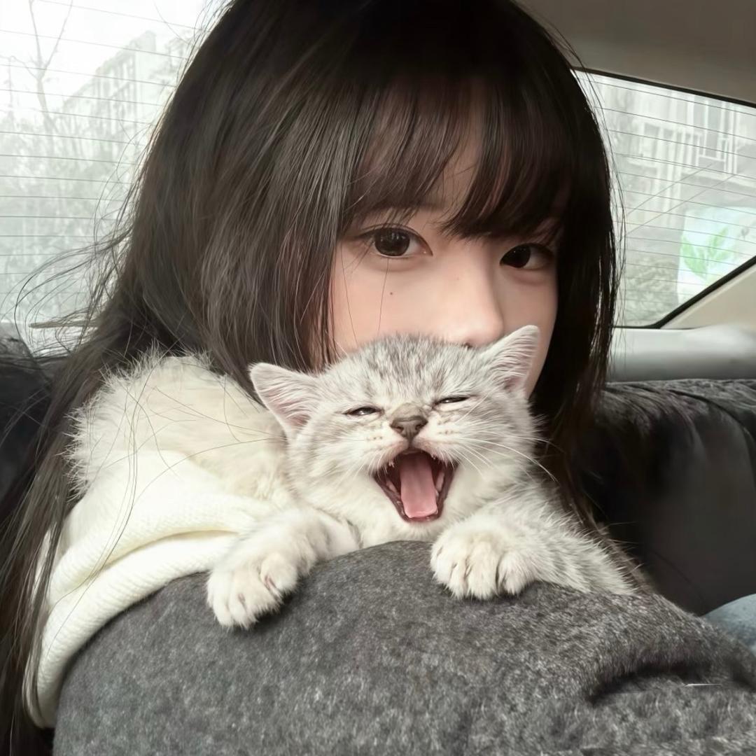 諾子.