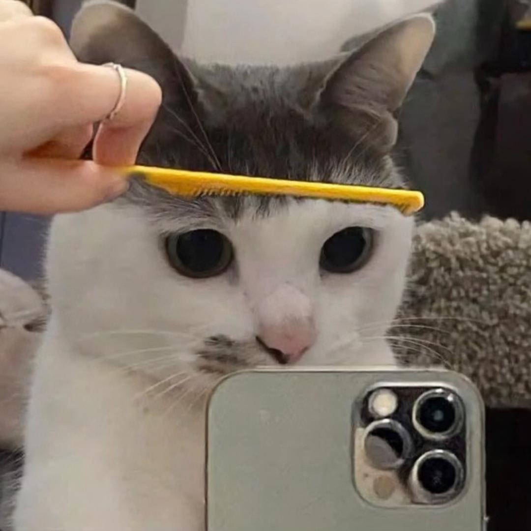 大冰箱