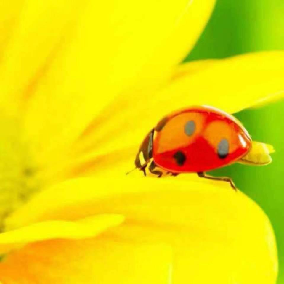 丫头💋花千骨🐛