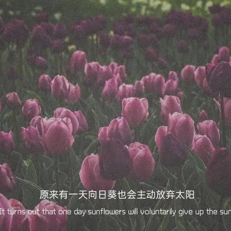 愿望讲给我听🌈