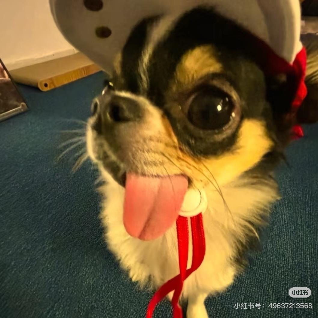 起名好难