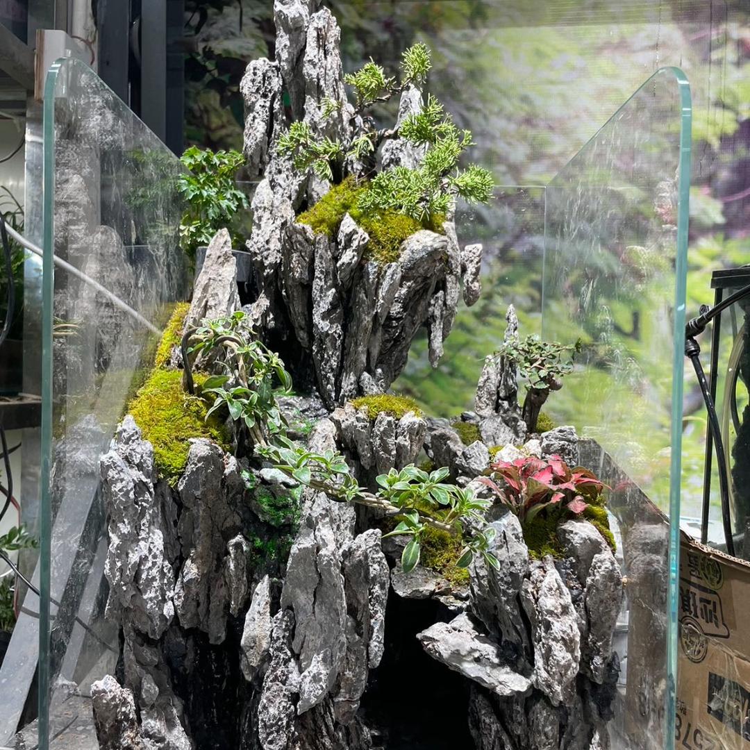 吴迪儿