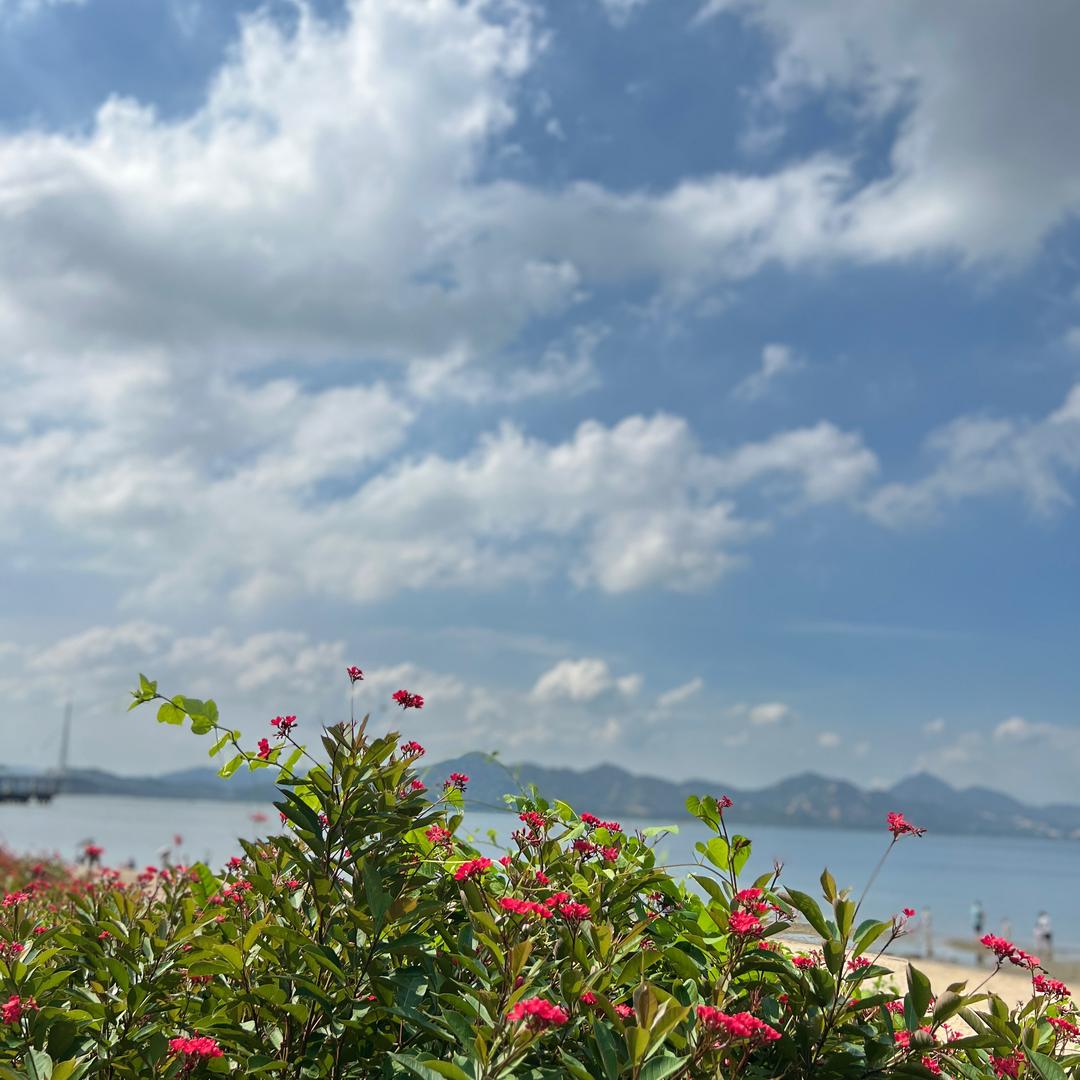 盼望着
