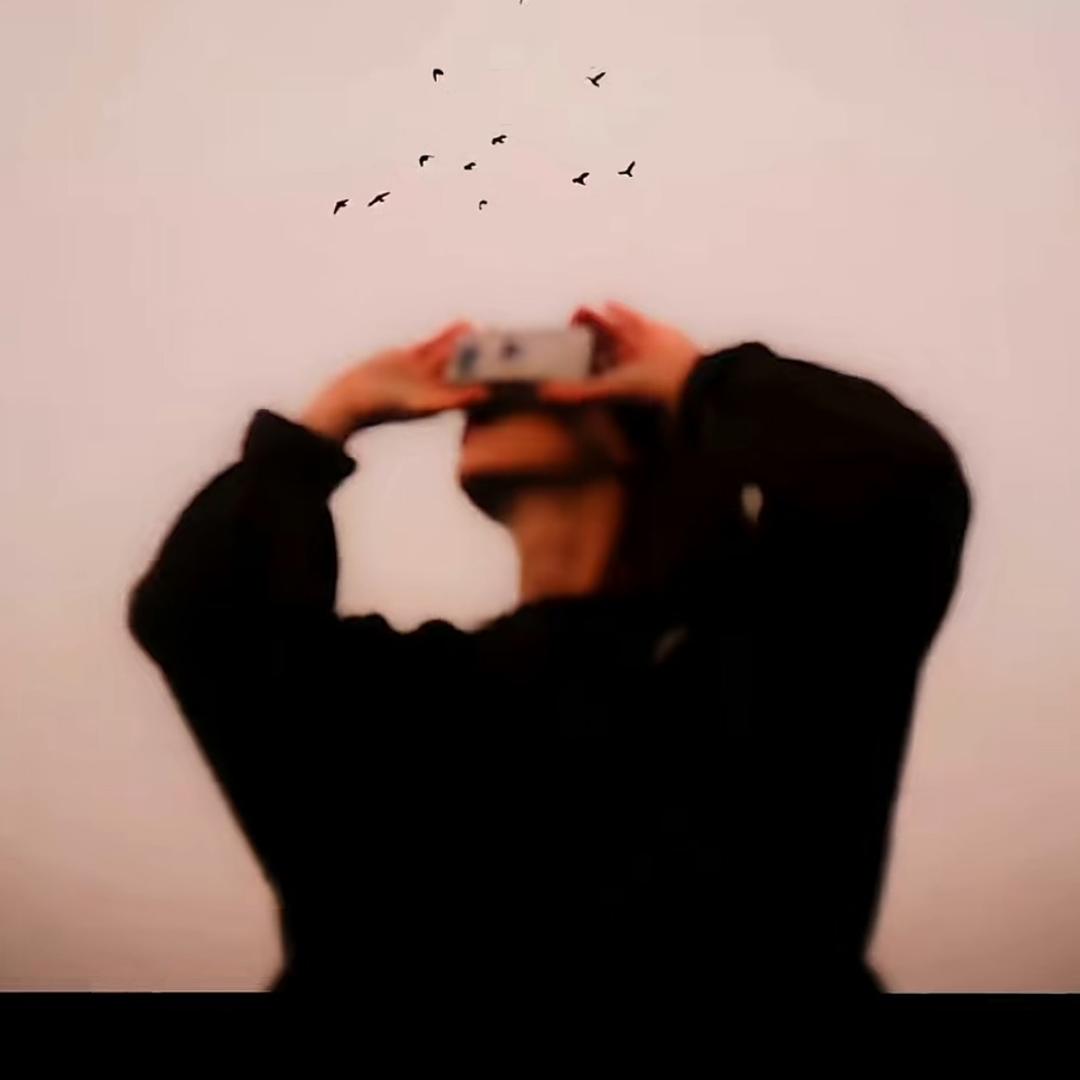 诗和远方的🐑