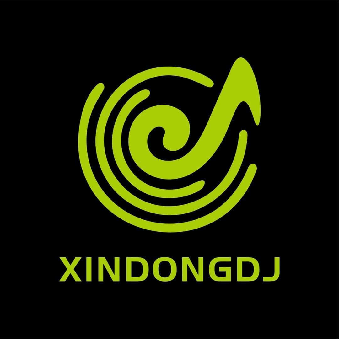 心动电音（DJ车载版）