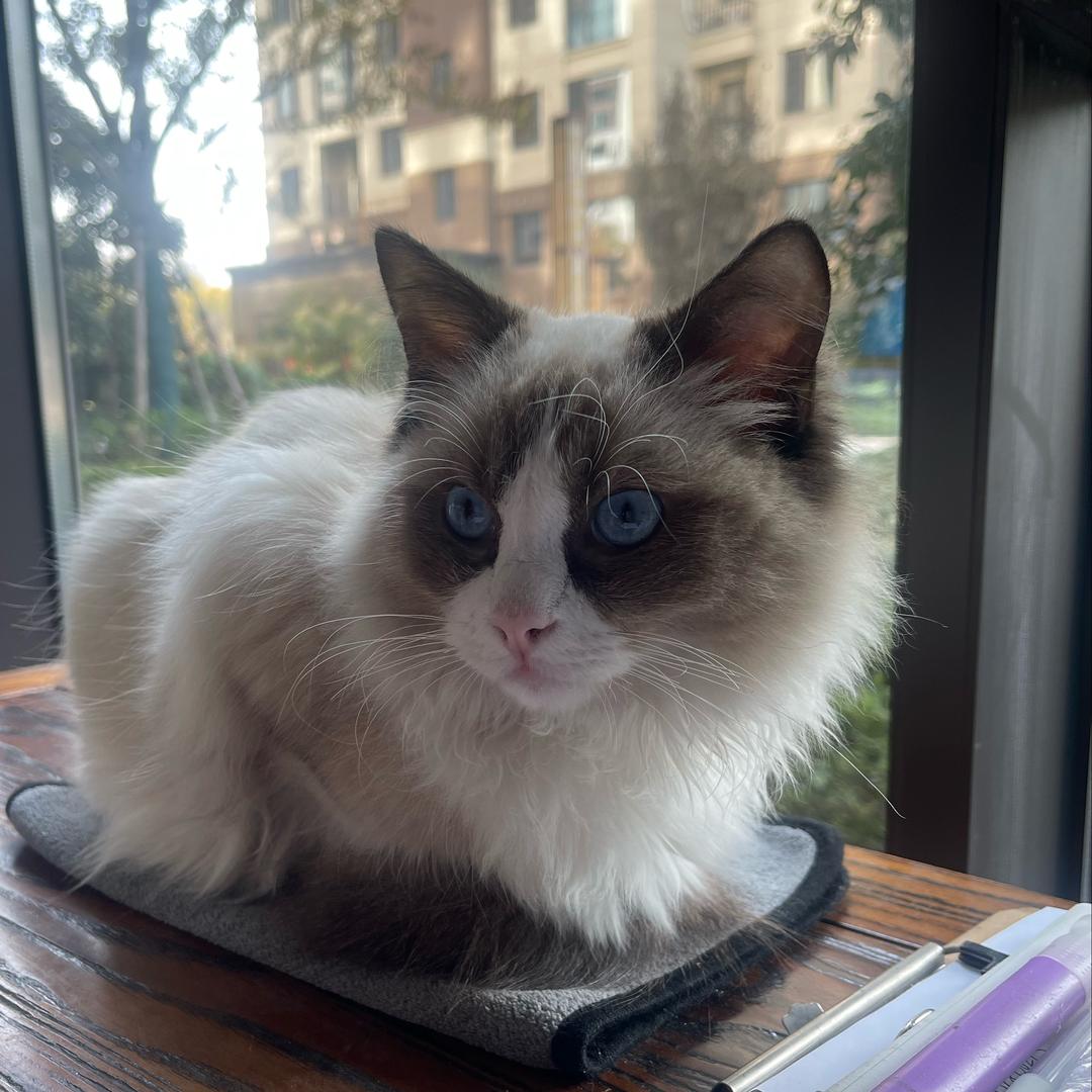 晓郭锅的生活号