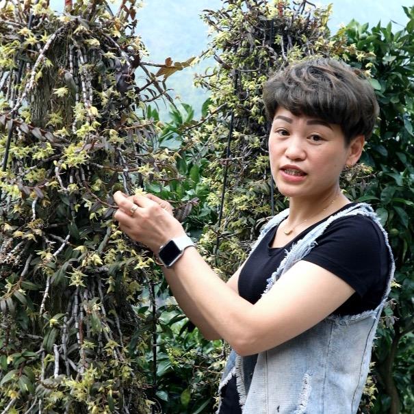 东阳市希斛堂电子商务有限公司企业店