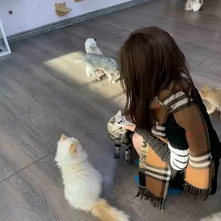 SecretlyHappy偷偷乐