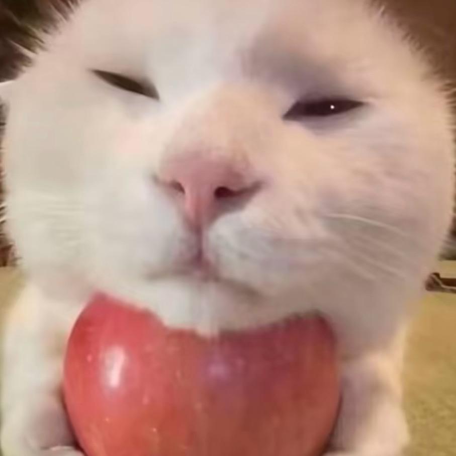 潇