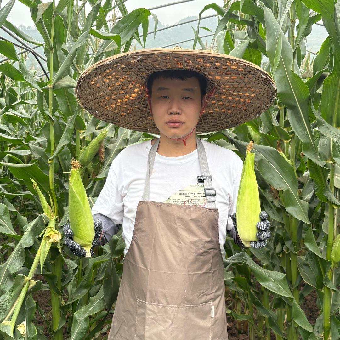杨二娃农产品