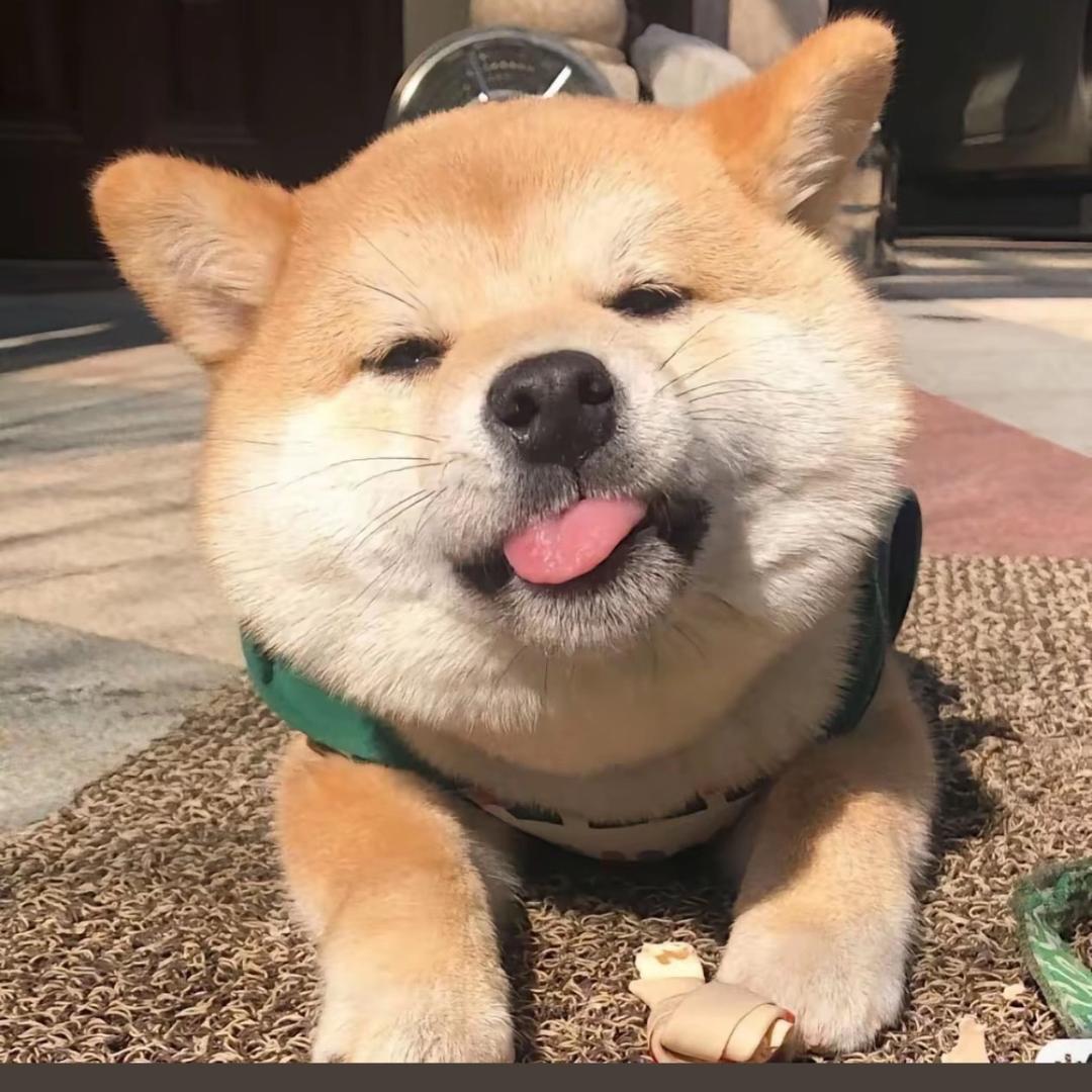赣州小袁