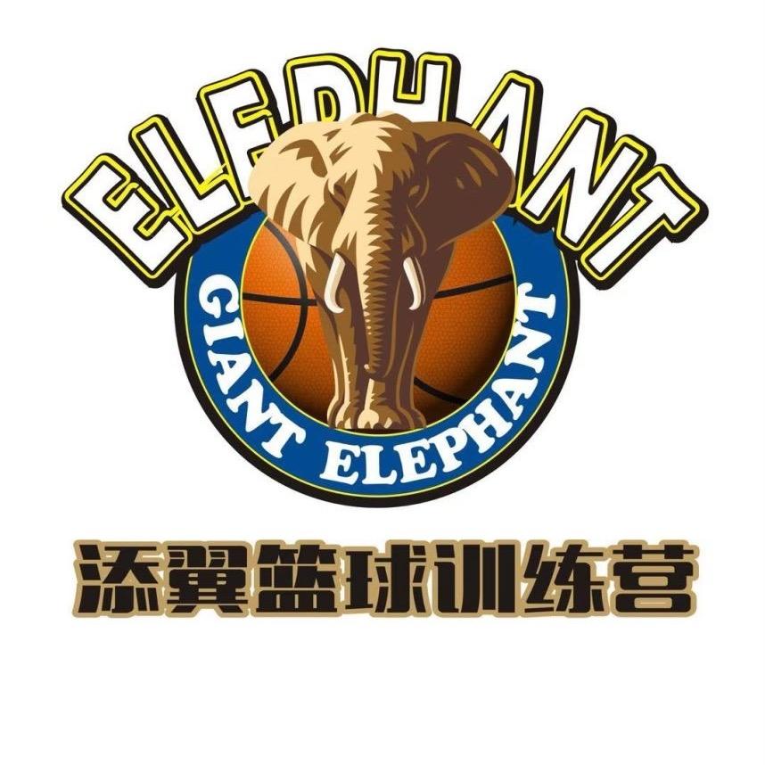 添翼篮球团城山校区