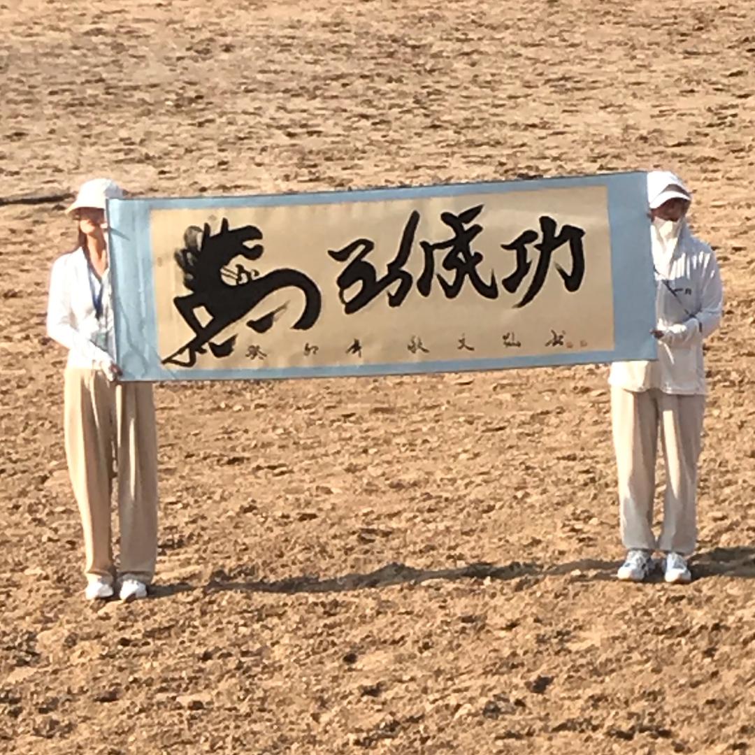 淡然一笑🌹🌹（回）