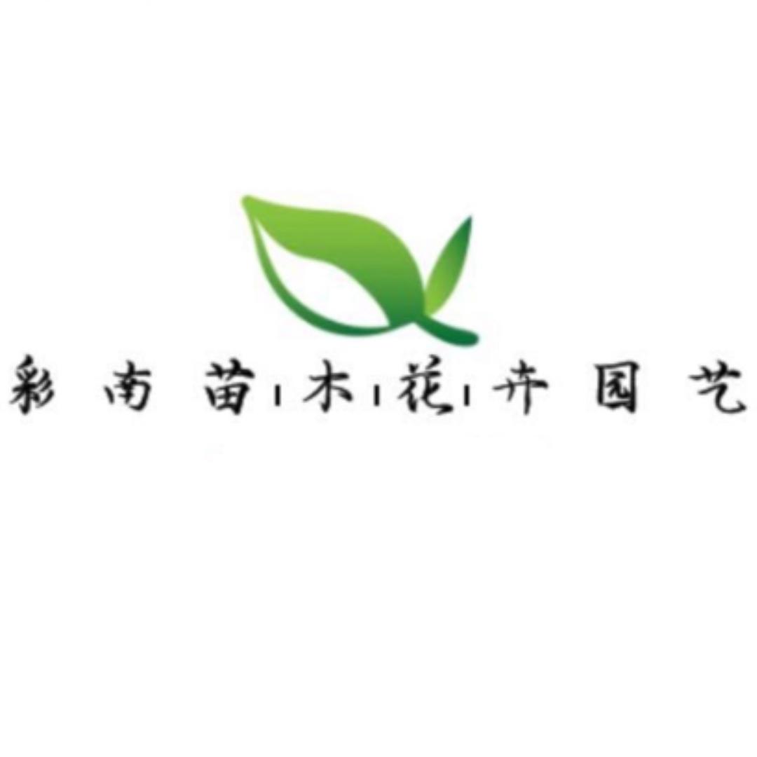 妃多多彩南果树苗木专卖店