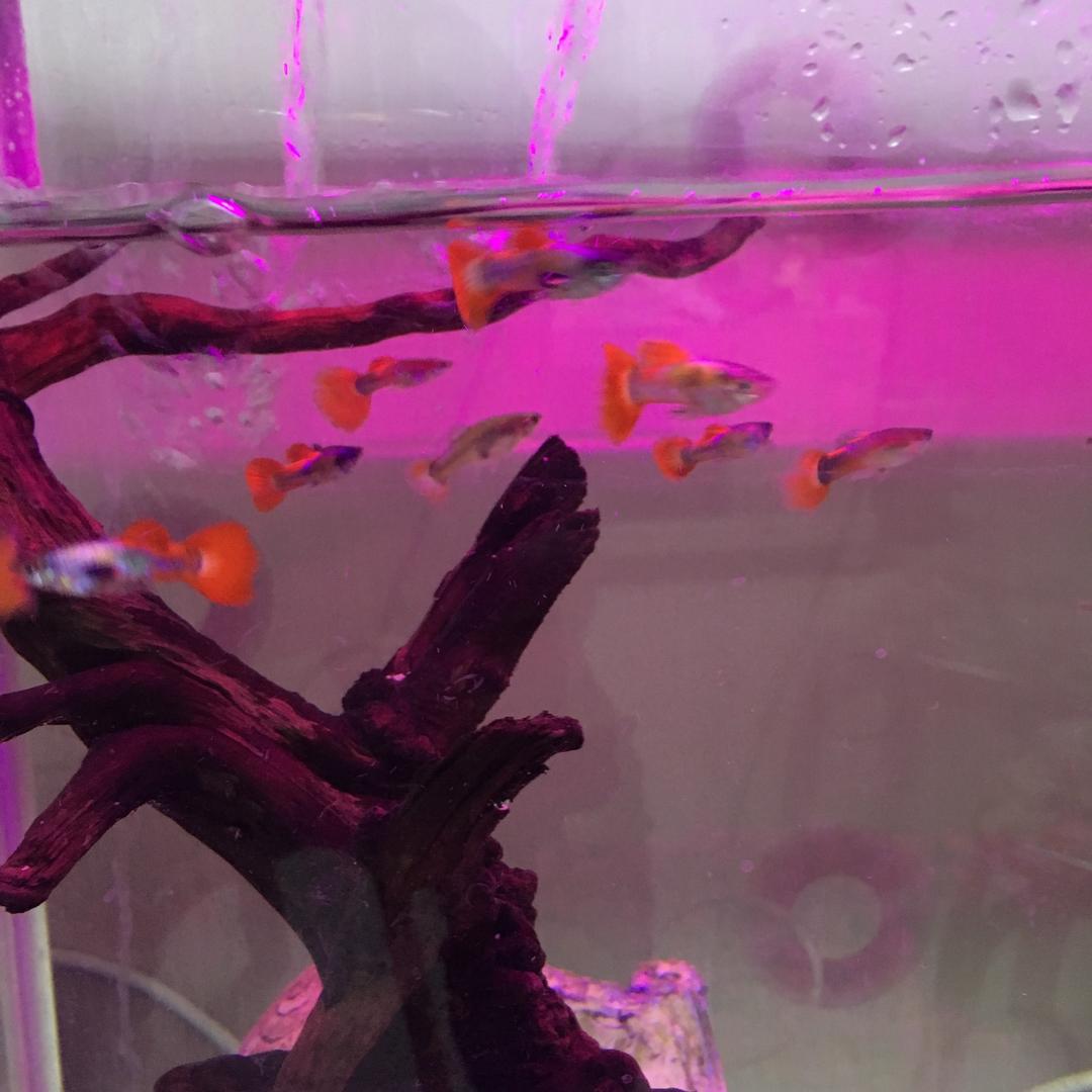 天天开心❤️❤️