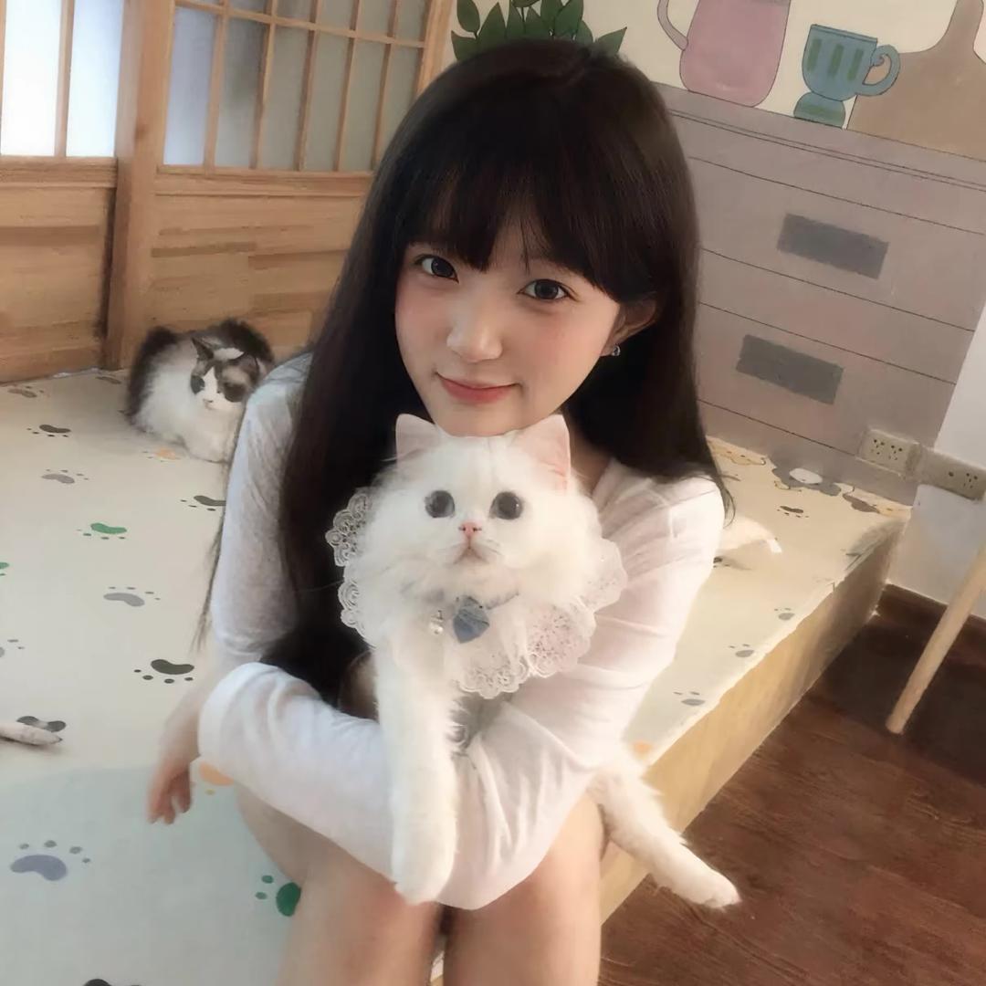 我是当天才的料