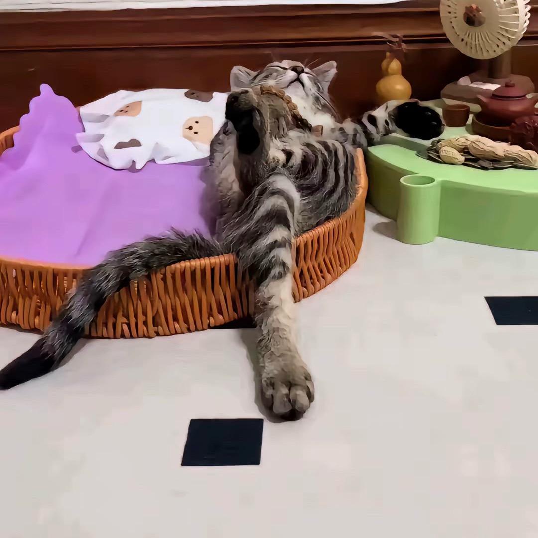 哇哦～