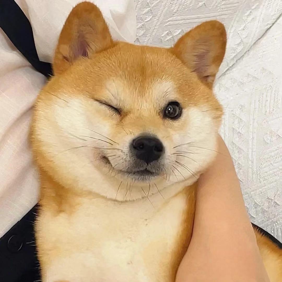 小臣小臣