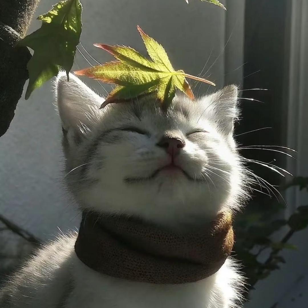 ^白羊^