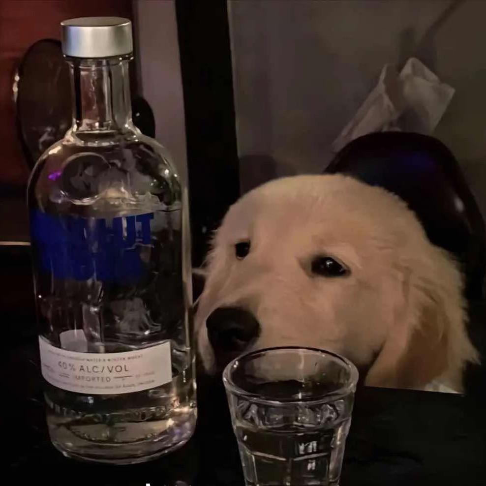 苏灿