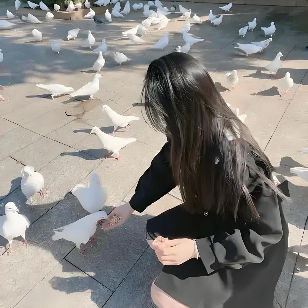 爆单同学