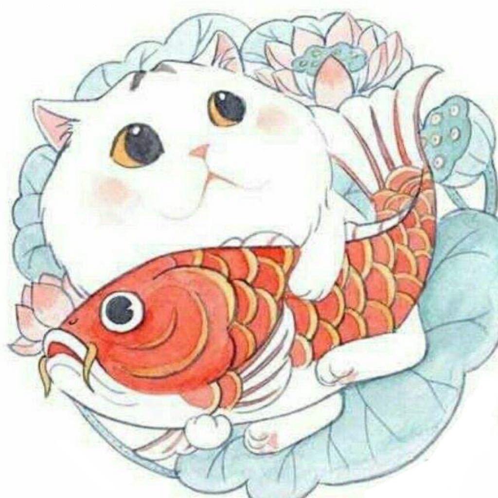 锦鲤✨