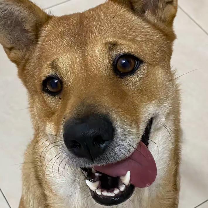 塘准（无畏契约）