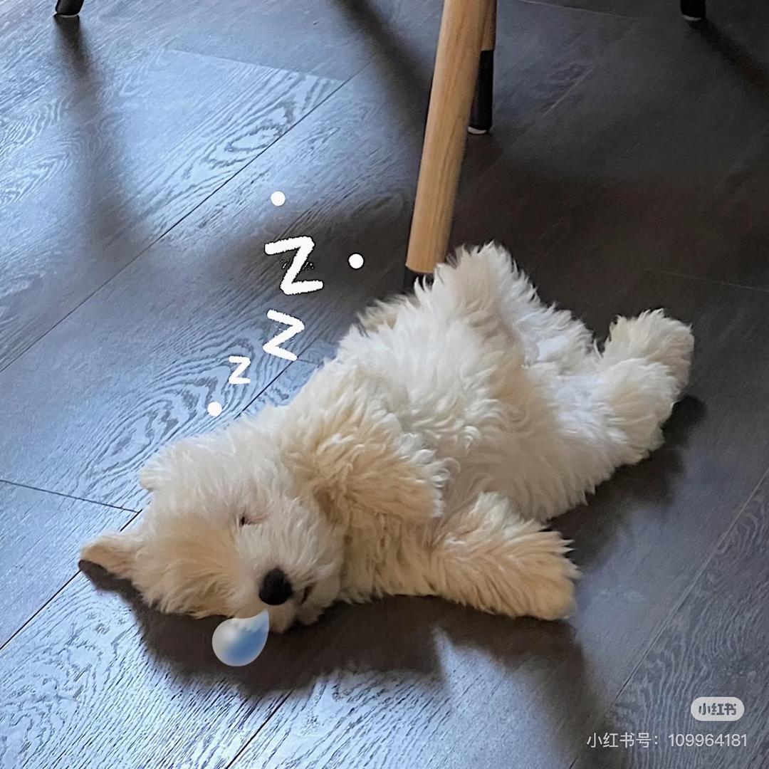 今天天气好☀️