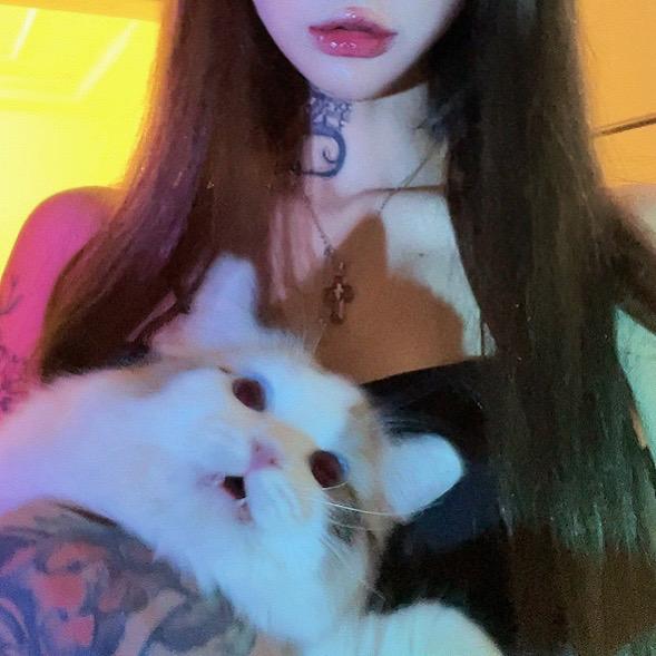 DJ  Fox🦊