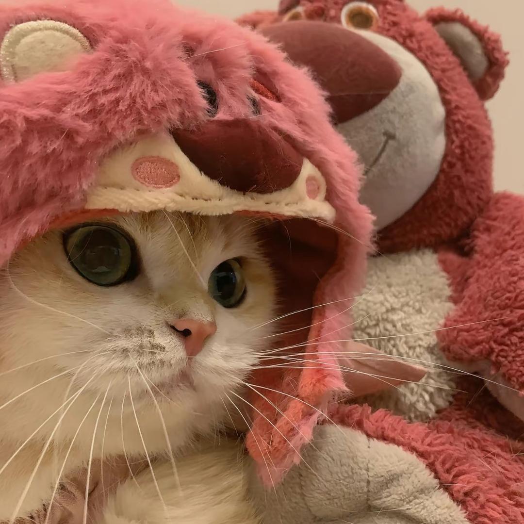 🌈小仪（㋋）🌈🌈